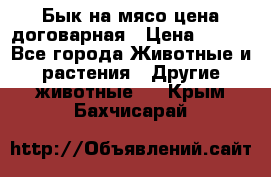 Бык на мясо цена договарная › Цена ­ 300 - Все города Животные и растения » Другие животные   . Крым,Бахчисарай